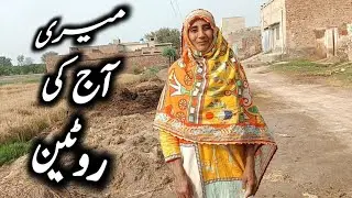 My Today's Special Afternoon Routine || After rain Special Vlog || Special village daily routine