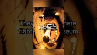 A strapped bear is crazy #anime