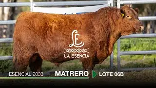 Remate La Carablanca, Lote 06B