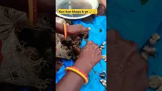 Barsati ghongha very spacial 😯😲#shorts#ghongha #streetfood #viral