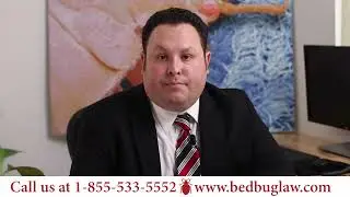 What to Do When You Find Bed Bugs in Your Hotel Room | Bed Bug Law