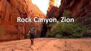 Rock Canyon, Zion, Utah