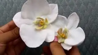 Tropical Orchid Hair Flowers  from Hair Comes the Bride