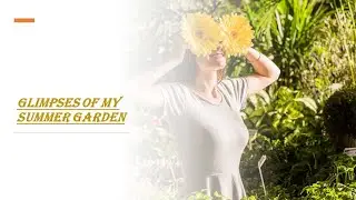 Glimpses of Summer Garden #SummerGarden #NatureBeauty #FloralParadise