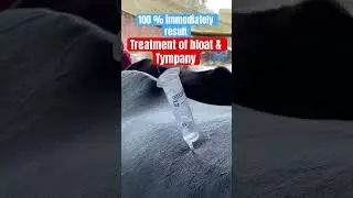 Bloat l Tympany l Dr Umar Khan