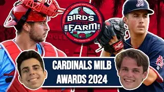 Cardinals Minor League Player Awards | Birds on the Farm 4
