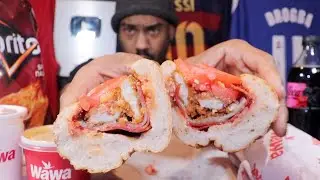 The Wawa SchratzSub. ( I Saw Scream 6)