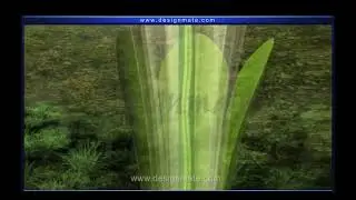 Angiosperms