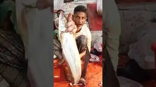 বোয়াল মাছ কাটিং #fish #cutting#viral #shorts #video