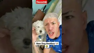 Dog Beatbox 3.0🐶🤣 #dog #shorts #beatbox