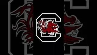 South Carolina Season Recap