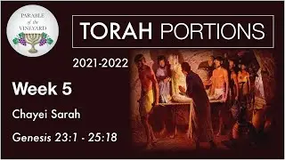 Torah Portions - Week 5 - Chayei Sarah - Genesis 23:1 - 25:18 (2021-2022)
