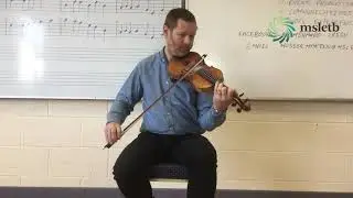 Traditional Irish Music VTOS Leitrim