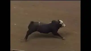 Dillinger bucks Michael Gaffney - 01 PBR St. Louis