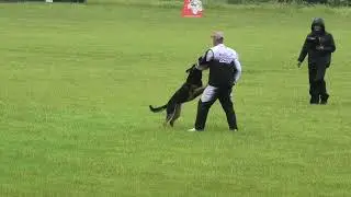 Александр Зверович и Хай-Дефэндер Климсвевик - IGP-3 С-86а (RED DOG CACIT 2024)