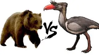 Prehistoric Rampage!|Келенкен против Агриотерия