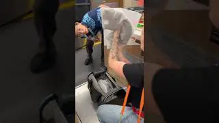 Fly Hawaii Cats Program