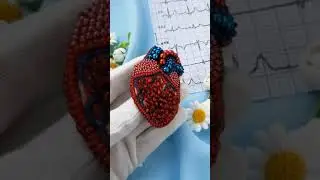 Medical brooch / Anatomical heart brooch / gift for doctor / Медицинская брошь