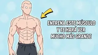 Este músculo te hará ver mucho mas grande y fuerte 