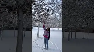 Snow fall in Denmark in December #snow #snowfall #travel #vlog #explore #enjoy #nature #viral #trend