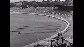 Princes Park was earmarked as the venue for the Olympic games before the MCG.
