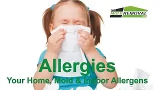 Allergies - Your Home, Mold & Indoor Allergens by FastMoldRemoval.com