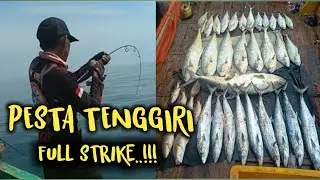 Mancing Tenggiri Pakai Umpan ini | Full Strike | Panen Tenggiri