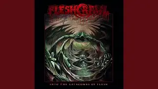 Ossuary Rituals