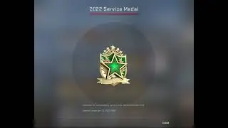 cs go service medal 2022 tier 2