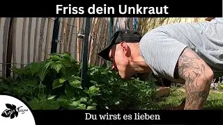 Friss dein Unkraut | Du wirst es lieben