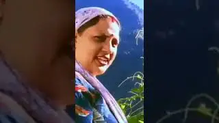 #Deepatiwari #minivlog #shorts #shortsfeed #tiwari #village #villagelife #villagevlog