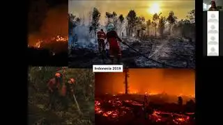 Wildfire management, emissions and NDCs in the dry tropics