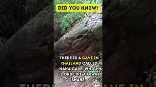 Giant Snake Rock in Thailand #Shorts #Viral #Shortvideos #lnakacave #Thailand