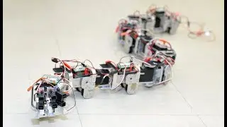 Snake-like Robot - Autonomous Collision Avoidance
