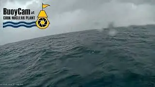 Buoy cam at Cook Nuclear Power Plant