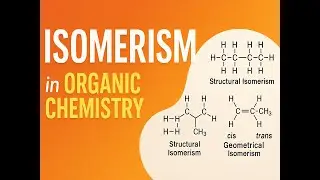 Изомерия в органической химии: типы, примеры и способы их определения