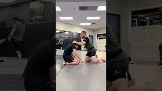 Merab Dvalishvili and Zhang Weili #ufc