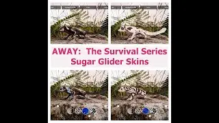 AWAY:  The Survival Series - Sugar Glider Skins