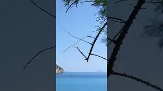 DAT&Ccedil;A DOĞASI #muğla #nature #dat&ccedil;a #deniz #tatil #doğa #manzara #koy #dalgasesi #turkey #travel#k&ouml;y