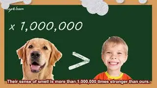 140-1-U5-Dog Nose Print