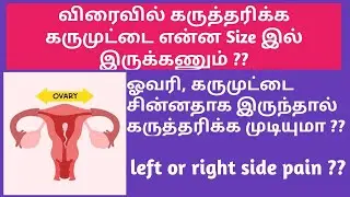Egg size ,Ovary size and pregnancy in tamil | Normal egg size to conceive naturally in Tamil