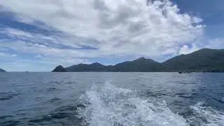 Mountain River Beautiful Nature Background Video | Free Nature Video Download