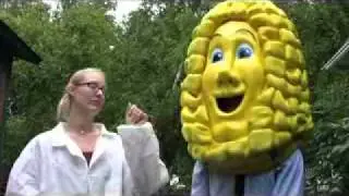 Corn Guy TV