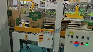 high speed carton erector and case packer tape sealer 