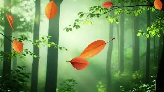 Gentle Relaxing Music for Inner Harmony