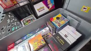 What's Really Happening to the Pokémon Market?