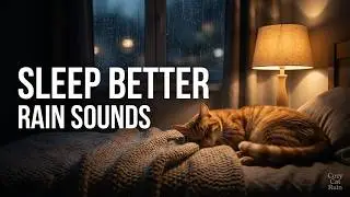 Rain Sounds for Better Sleep | Cat Sleeping in Cozy Room
