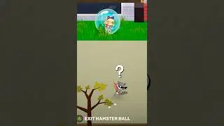 Raccoon In Shambles 🦝 - Super Animal Royale #superanimalroyale