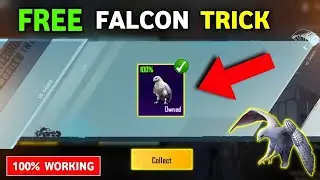Get Free Falcon Companion In Pubg | Bgmi | How To Get Free Falcon Companion In Pubg | Bgmi  Lite Boi