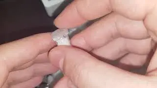 Unboxing mesothelae from spidershop.pl